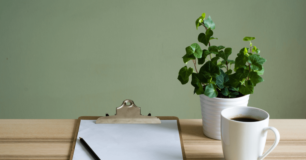 how to overcome stress and shame to get organized, professional home organizer, Declutter Kitsap, Bremerton WA